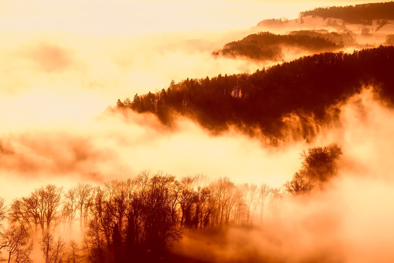 Best Psilocybin Retreats in Oregon 2026: Complete Legal Guide