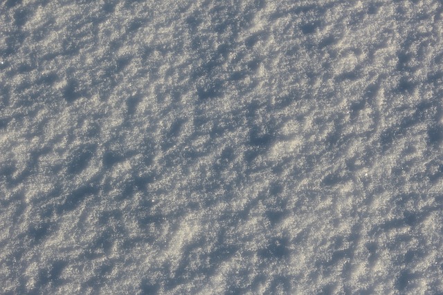 Free Snow Cold photo and picture