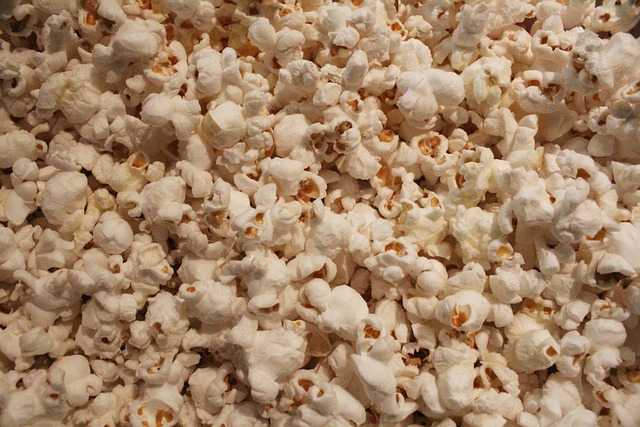 Free Popcorn Food photo and picture