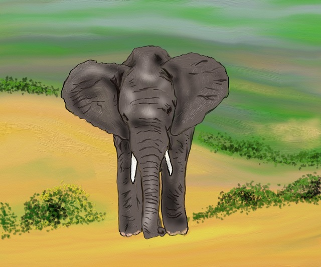 Free elephant africa zoo illustration