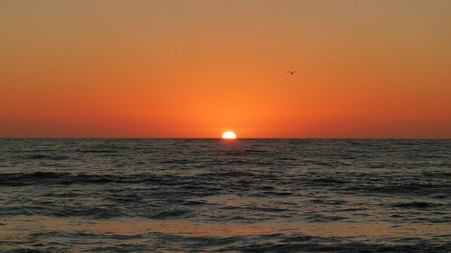 Solnedgang, Ocean Beach, Stillehavet