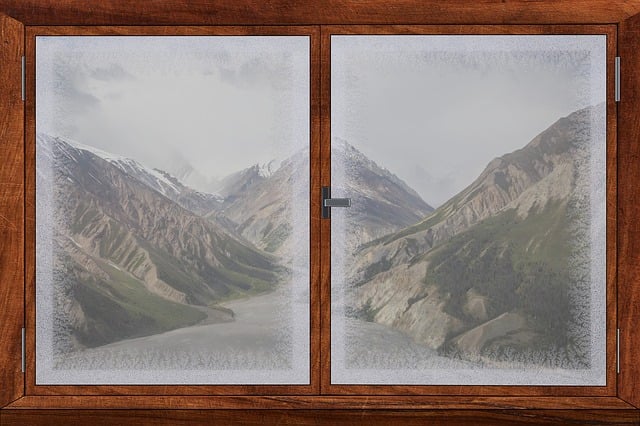 Free window window frames ice flowers illustration