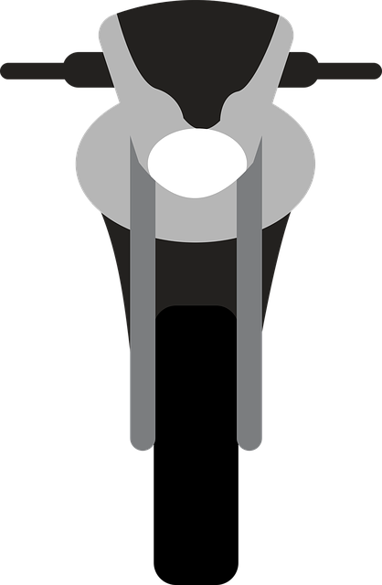 Free Motorcycle Moto vector and picture