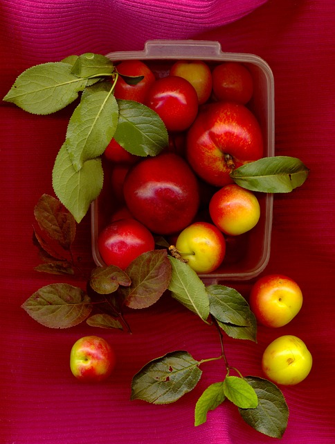 Fersken, Blomme, Frugt, Naturlig Sundhed