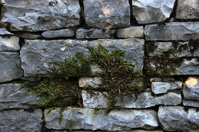 Free Rocks Stone Wall photo and picture