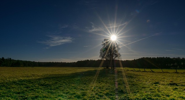Free Sky Sun photo and picture