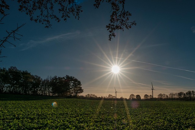Free Sun Star photo and picture