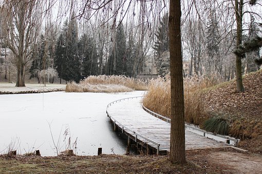 Vinter, Frost, Sne, Siv, Parkere