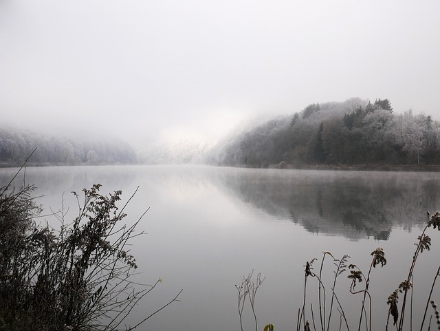 Free Flow Saar photo and picture