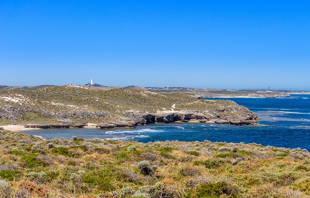 Free Rottnest Island Iceland photo and picture