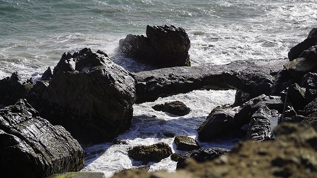 Free Sea Coast photo and picture