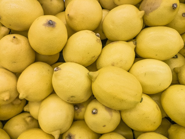 Free Lime Plants photo and picture