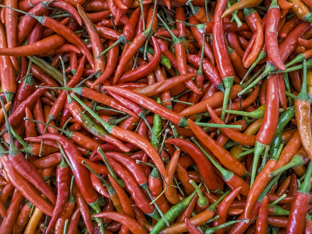 Free Chili Pepper photo and picture