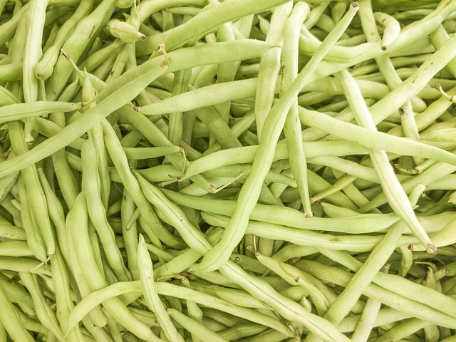 Free Green Pea photo and picture