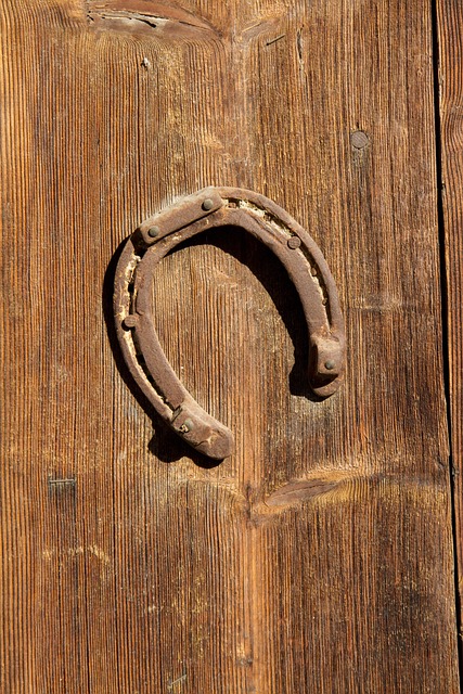 Free Horseshoe Wood photo and picture