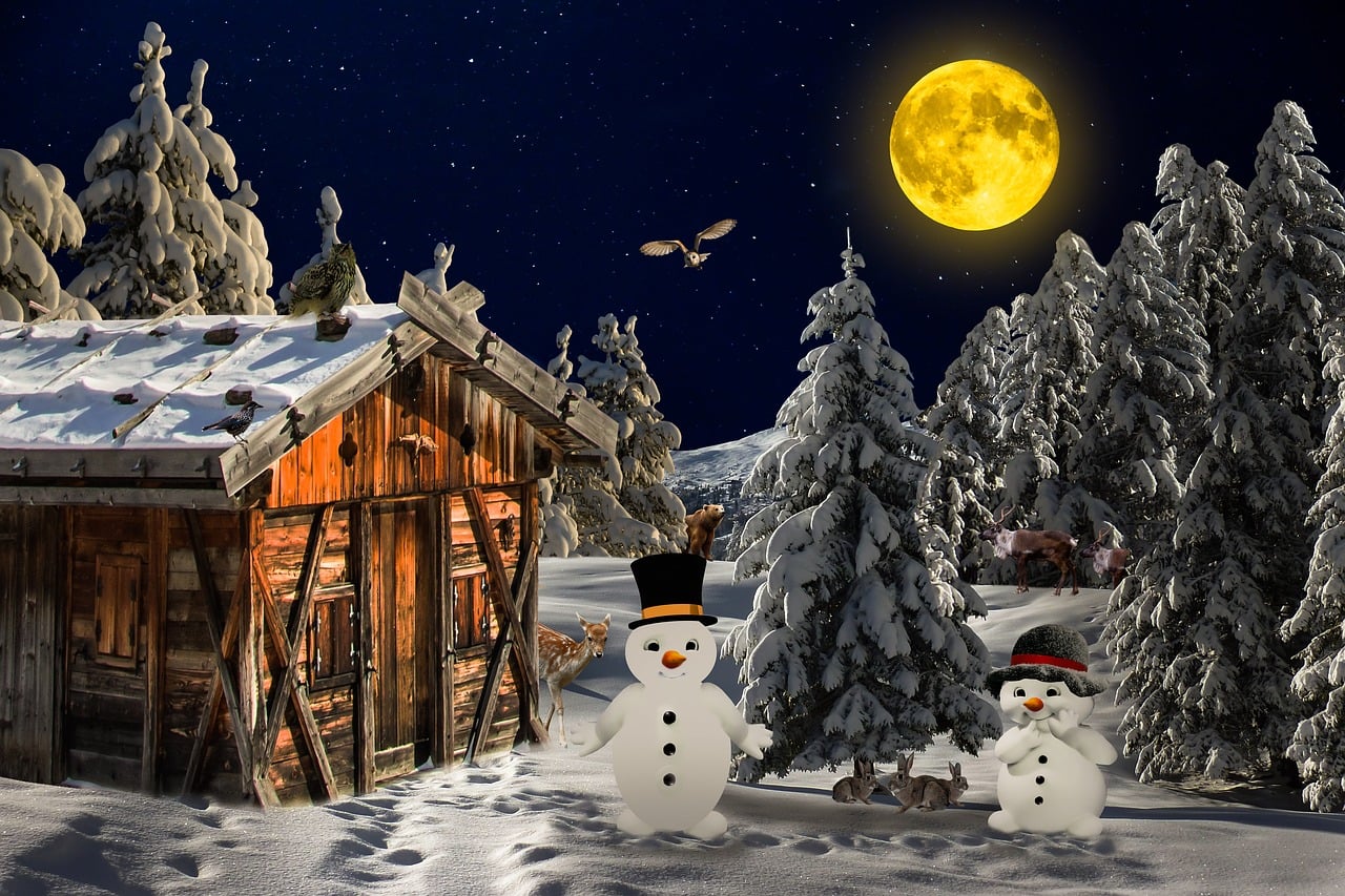 Download free HD stock image of Winter Landscape Free winter landscape winter landscape illustration