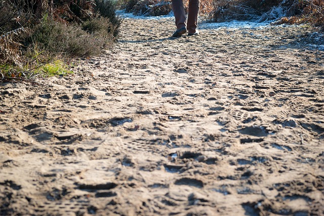 Path In Sand Path Sense Sand - Free photo on Pixabay