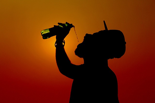 Free Silhouette Bottle photo and picture