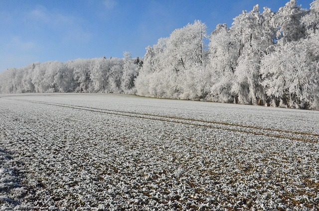 Free Snow Sun photo and picture