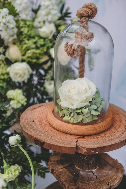Free Flowers Rose photo and picture