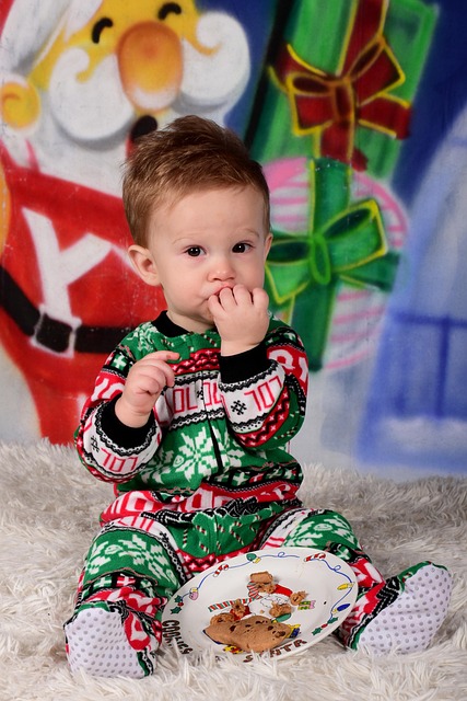 Free Christmas Cookie photo and picture