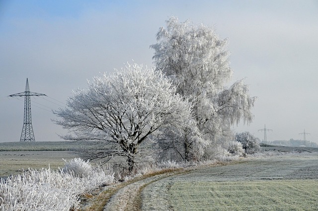 Free Winter Landscape photo and picture