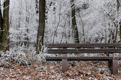 Escarcha, Invierno, Frío, Nieve