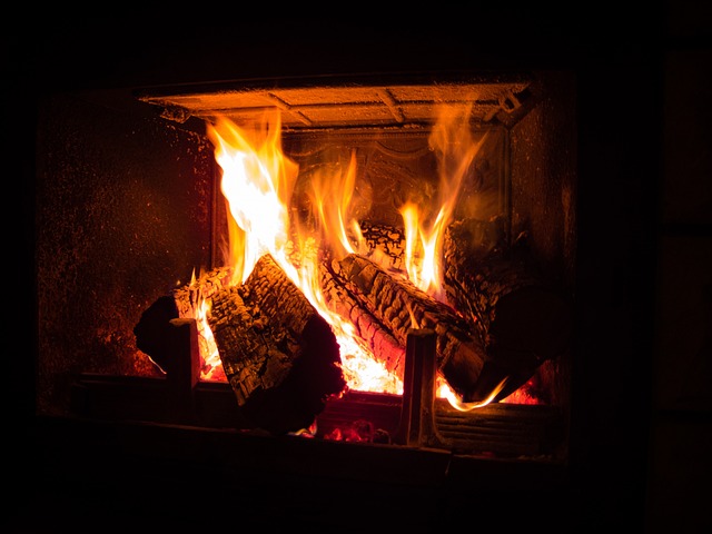 Free Fireplace Fire photo and picture