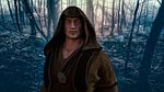 druid, magic, holy forest