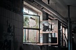 lost places, old, decay