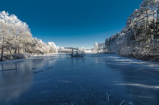 Free Winter Landscape photo and picture