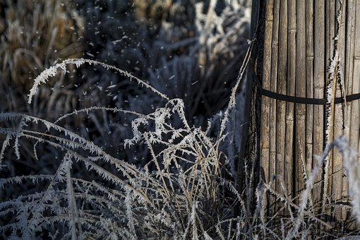 Free Winter Landscape Ice Cream photo and picture