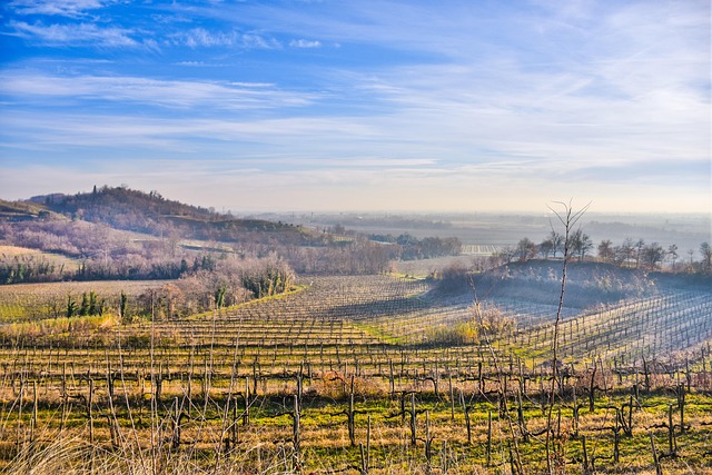 Free Landscape Nature photo and picture