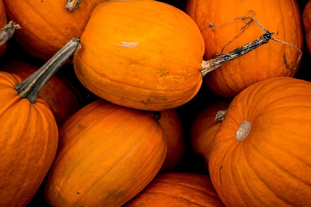 Free Halloween Autumn photo and picture