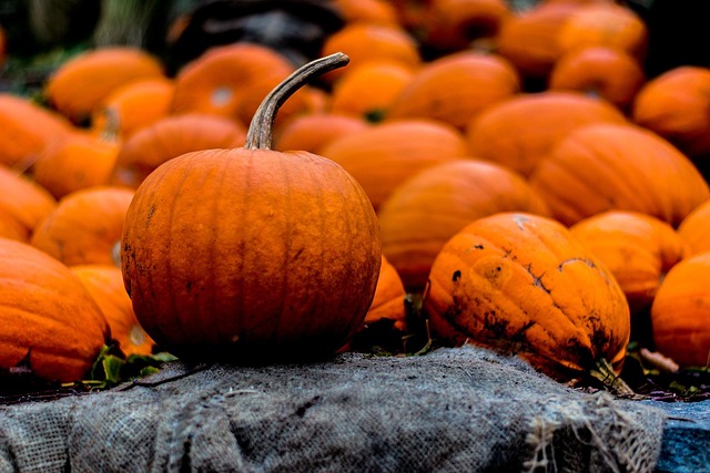 Free Halloween Autumn photo and picture