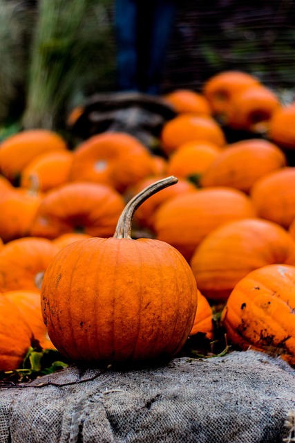 Free Halloween Autumn photo and picture