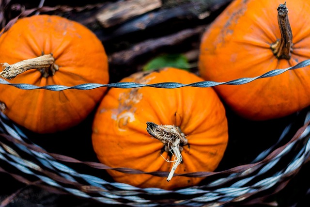 Free Halloween Autumn photo and picture