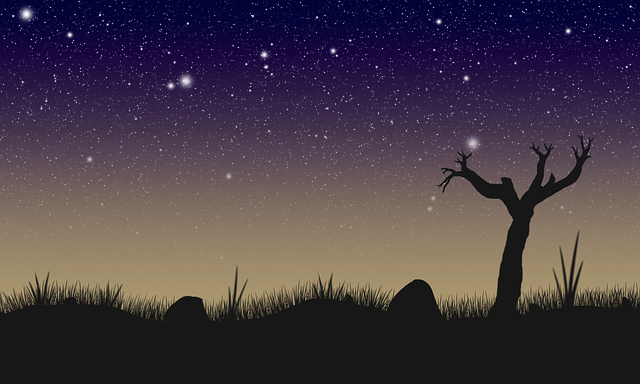 Free night silhouette starry illustration