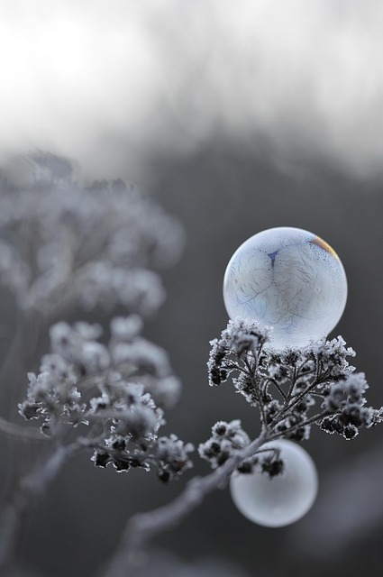 Free Bubbles Soap photo and picture
