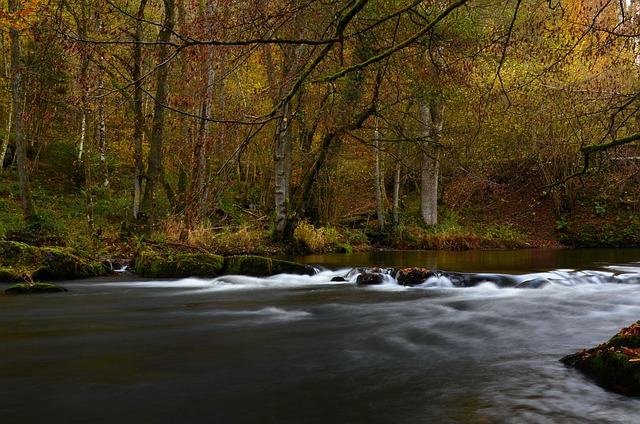 Free River Bulge photo and picture