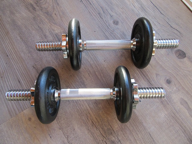 Free Weights Weightlifting photo and picture