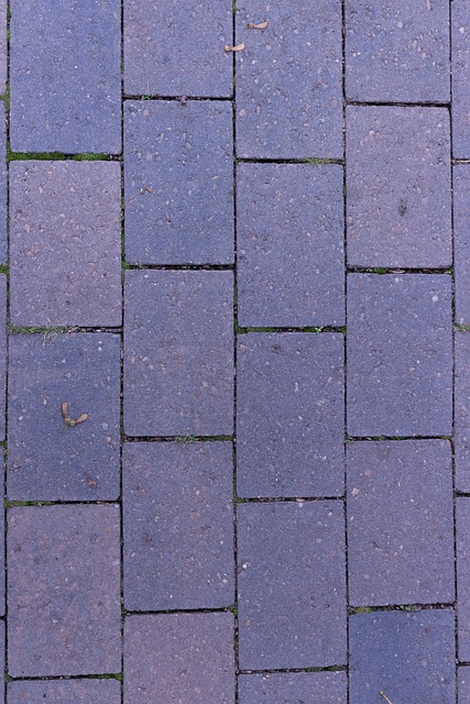 Free Paving Stones Joints photo and picture