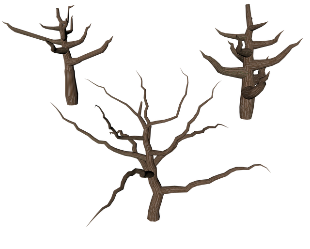 Download free HD stock image of Tree Isolated Free tree isolated dead illustration