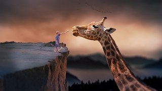 Giraffe, Child, Nature, Dream