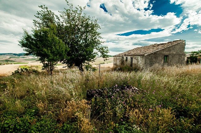 Free Country Sky photo and picture