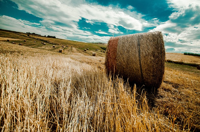 Free Country Sky photo and picture
