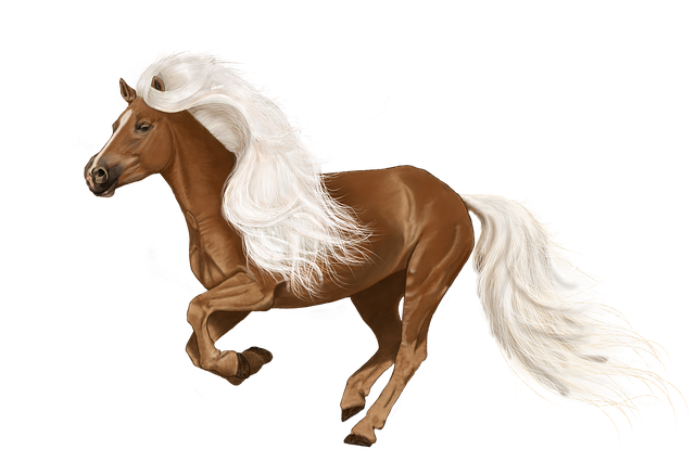 Free digital painting art digital drawing illustration