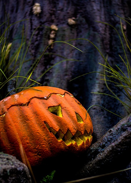 Free Halloween Autumn photo and picture