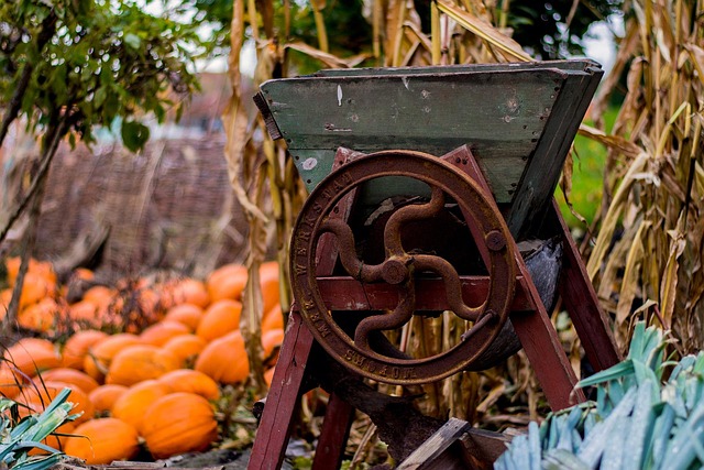 Free Halloween Autumn photo and picture