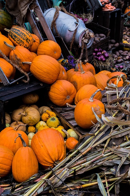Free Halloween Autumn photo and picture